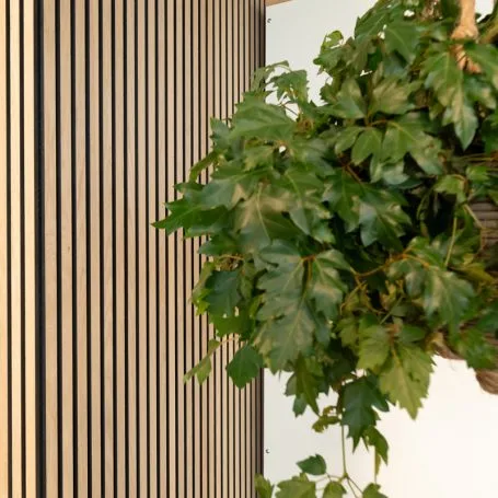 Floer Akupaneel XL onbehandeld eiken 300x60 cm - Afbeelding 2