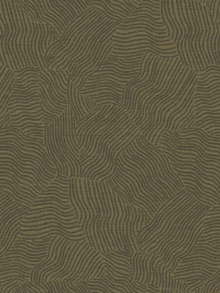 Dutch First Class Sahara Richat Olive