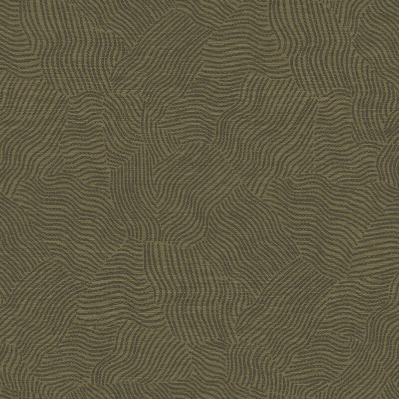 Dutch First Class Sahara Richat Olive