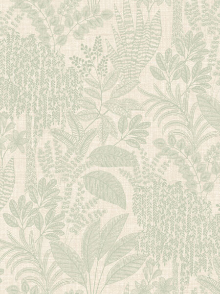 Dutch First Class Sahara Oasis Sage