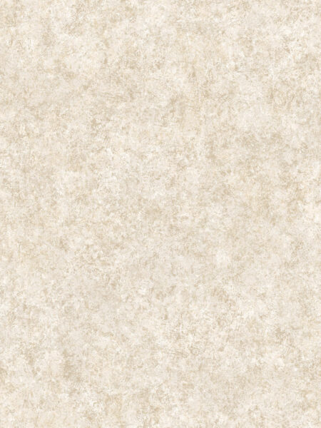 Dutch First Class Sahara Tassili Ivory