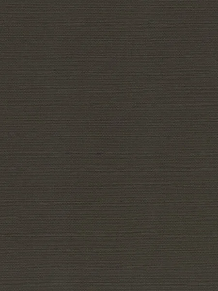 FC Essential uni bruin 73609