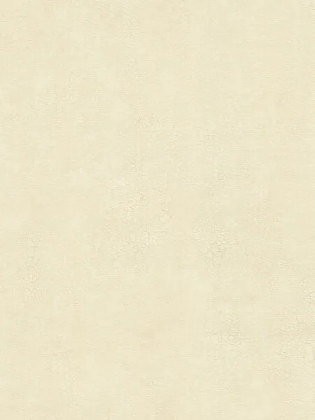 FC Essential uni beige 73632
