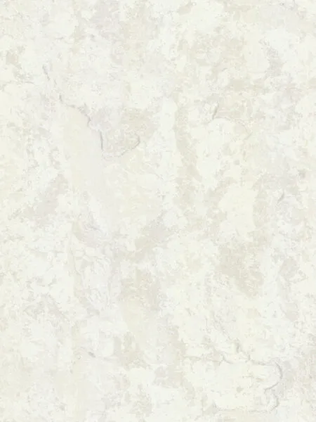 FC Carrara Best 82604