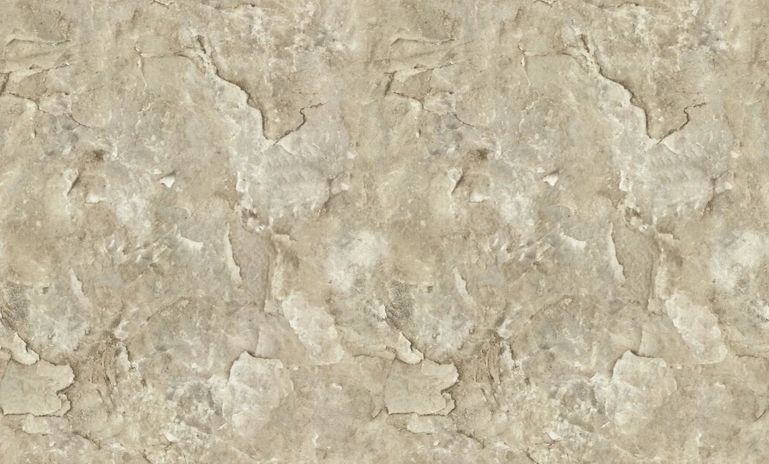 FC Carrara Best Bruin 82606