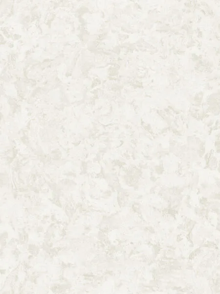 FC Carrara Best Créme 82651