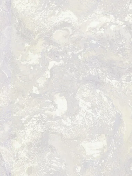 FC Carrara Best Grijs 82672