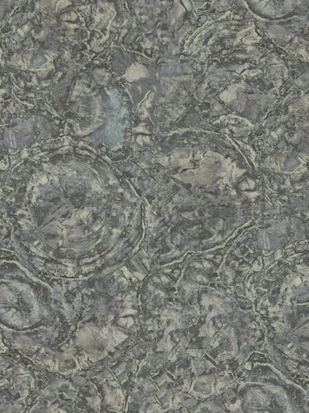 FC Carrara Best Grijs Goud