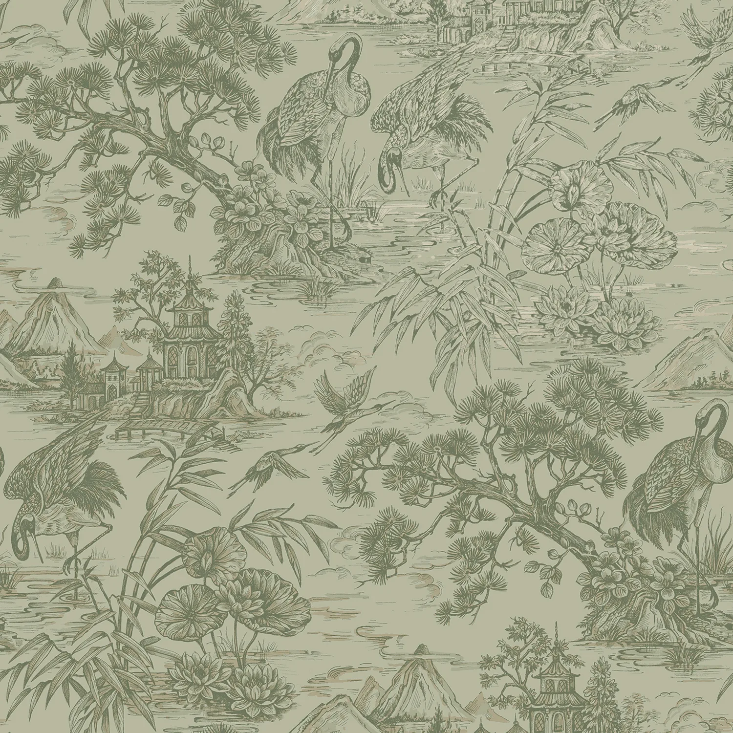 Dutch First Class Natoru Sage