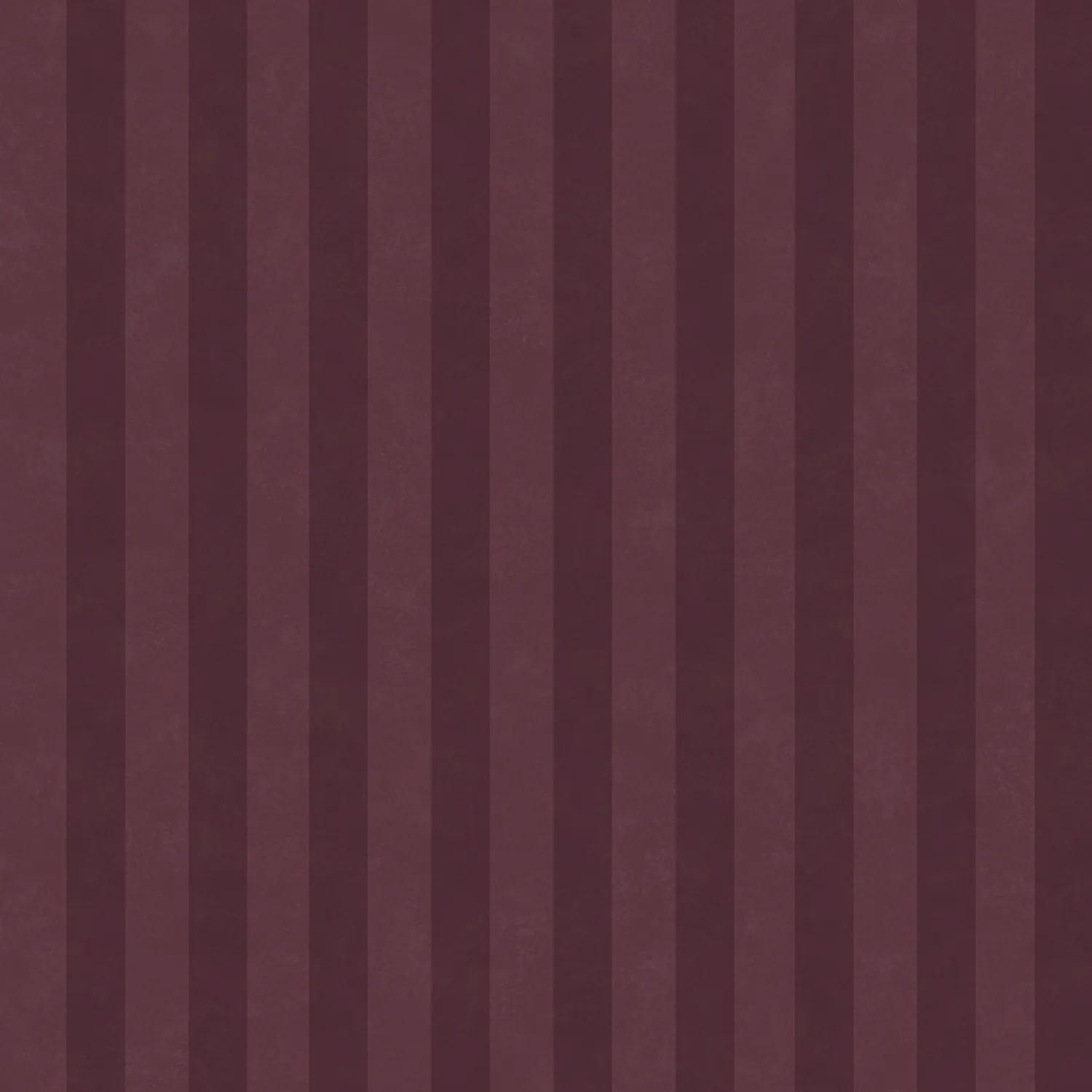 Dutch First Class Arboretum Aquila Berry