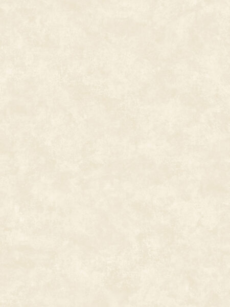 Dutch First Class Arboretum Kanso Cream
