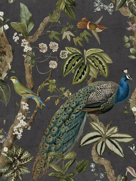 Dutch First Class Cassia Charcoal