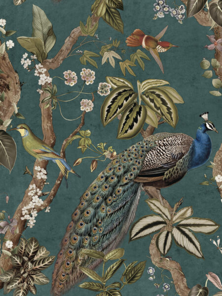 Dutch First Class Cassia Aqua