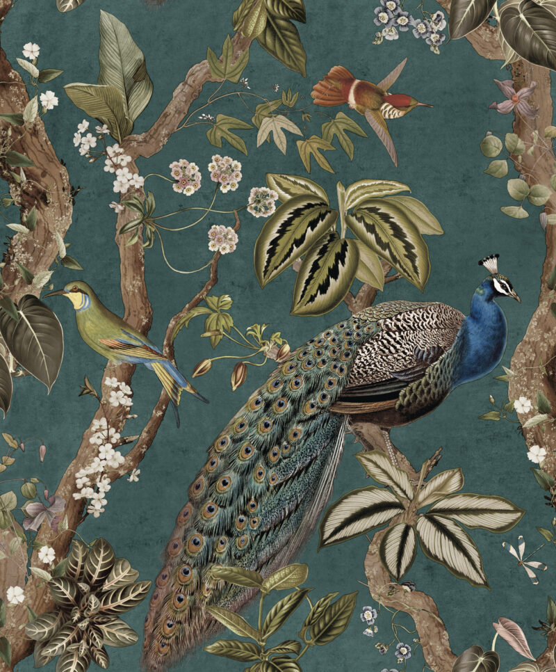 Dutch First Class Cassia Aqua
