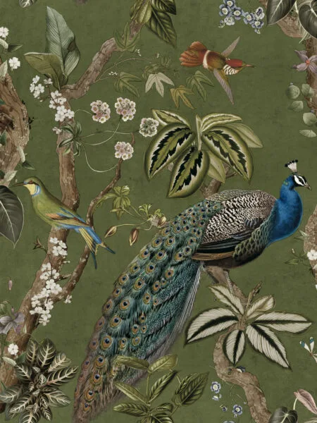 Dutch First Class Cassia Groen