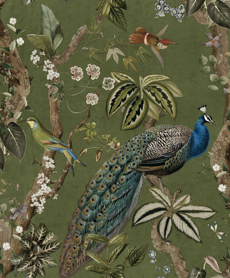 Dutch First Class Cassia Groen