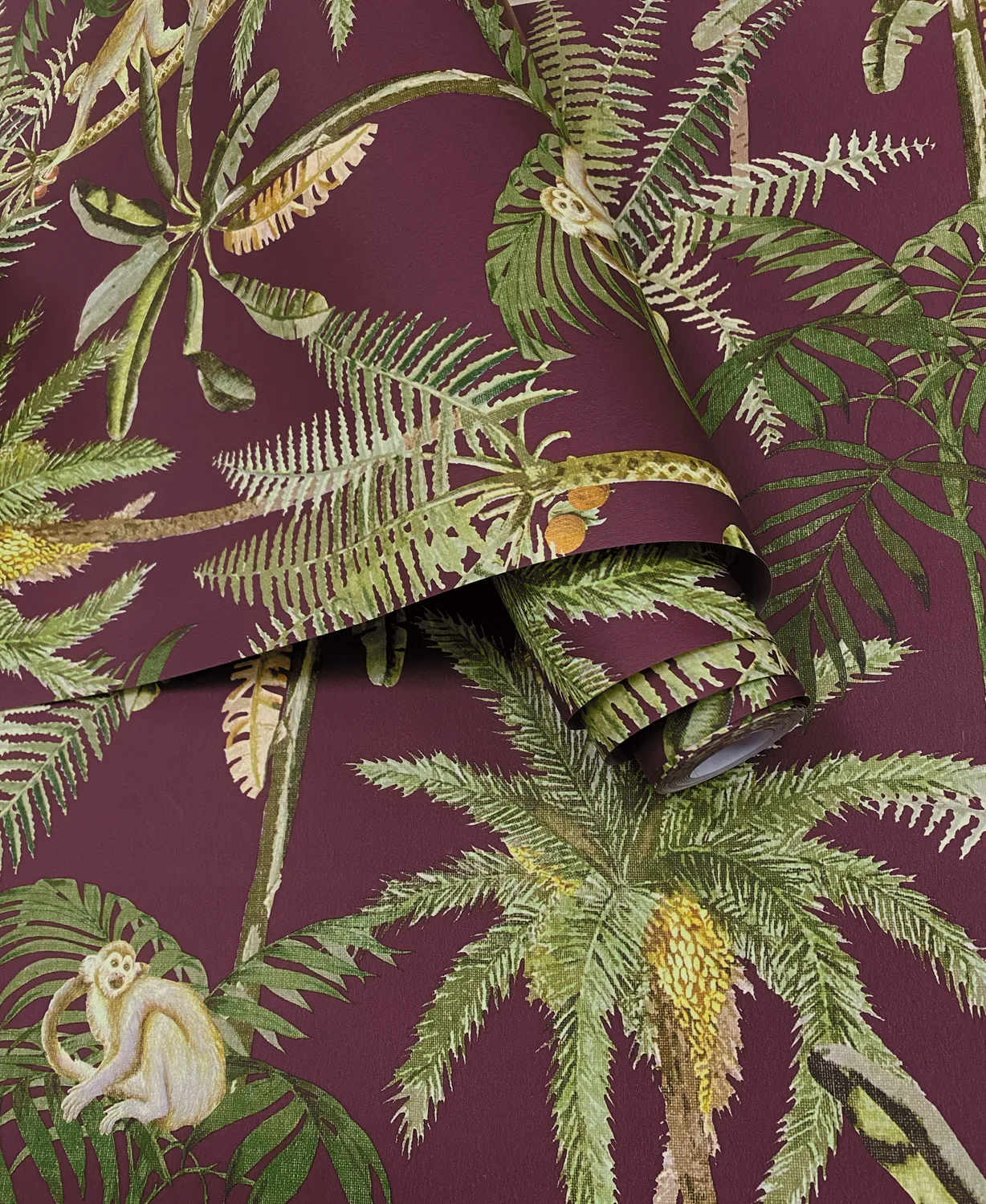 Dutch First Class Arboretum Ateles Berry - Afbeelding 3