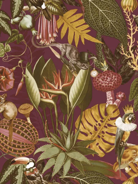 Dutch First Class Arboretum Reverie Burgundy