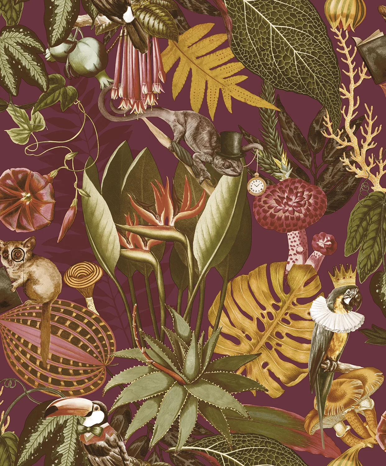 Dutch First Class Arboretum Reverie Burgundy