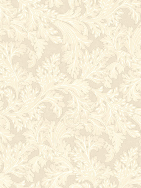 Dutch First Class Arboretum Forenza Cream