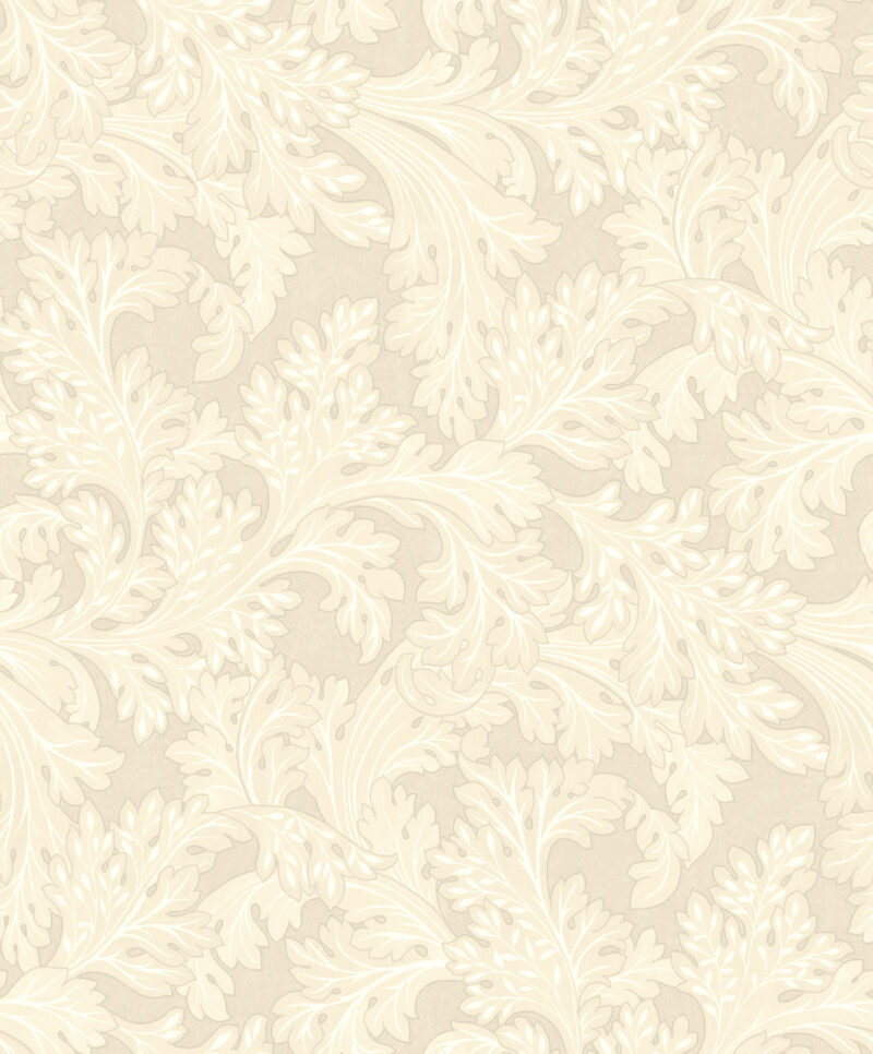Dutch First Class Arboretum Forenza Cream