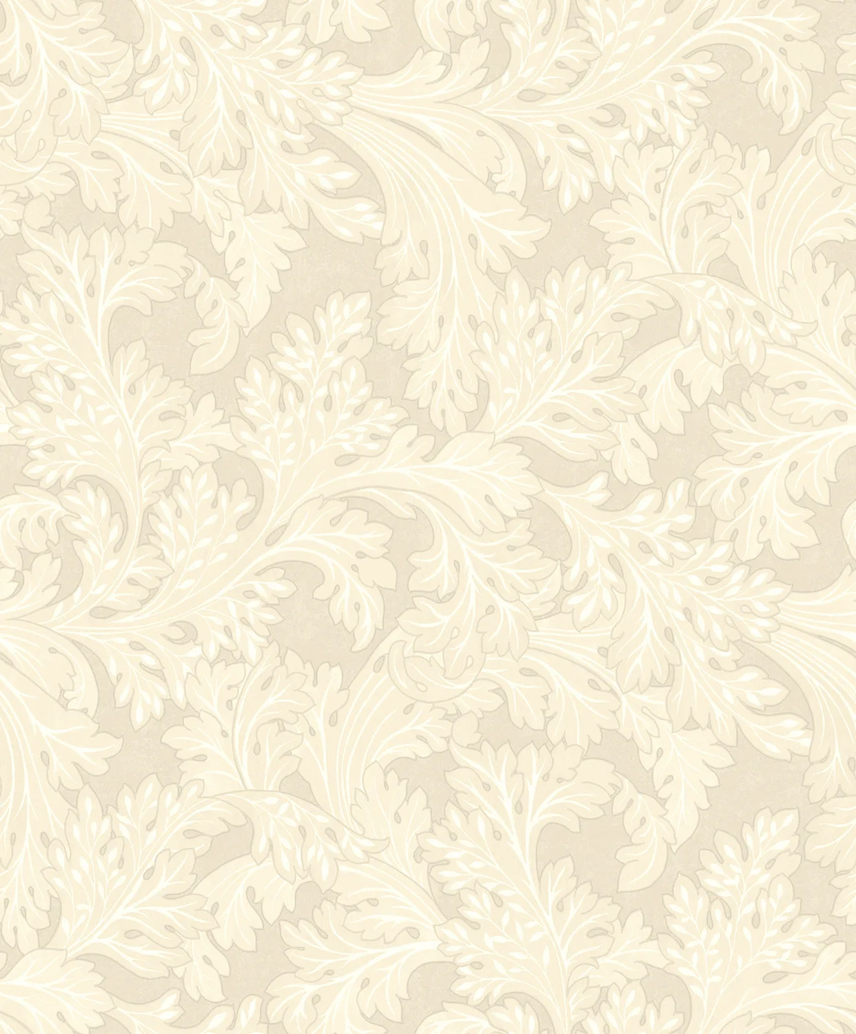 Dutch First Class Arboretum Forenza Cream