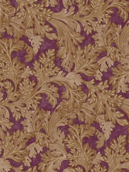 Dutch First Class Arboretum Forenza Berry