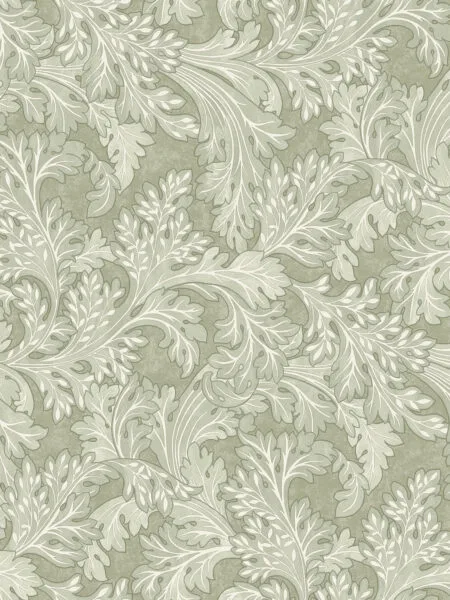 Dutch First Class Arboretum Forenza Sage