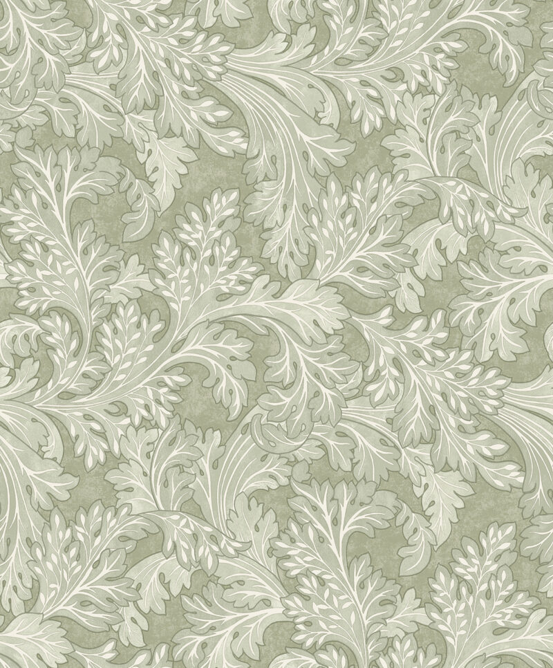 Dutch First Class Arboretum Forenza Sage