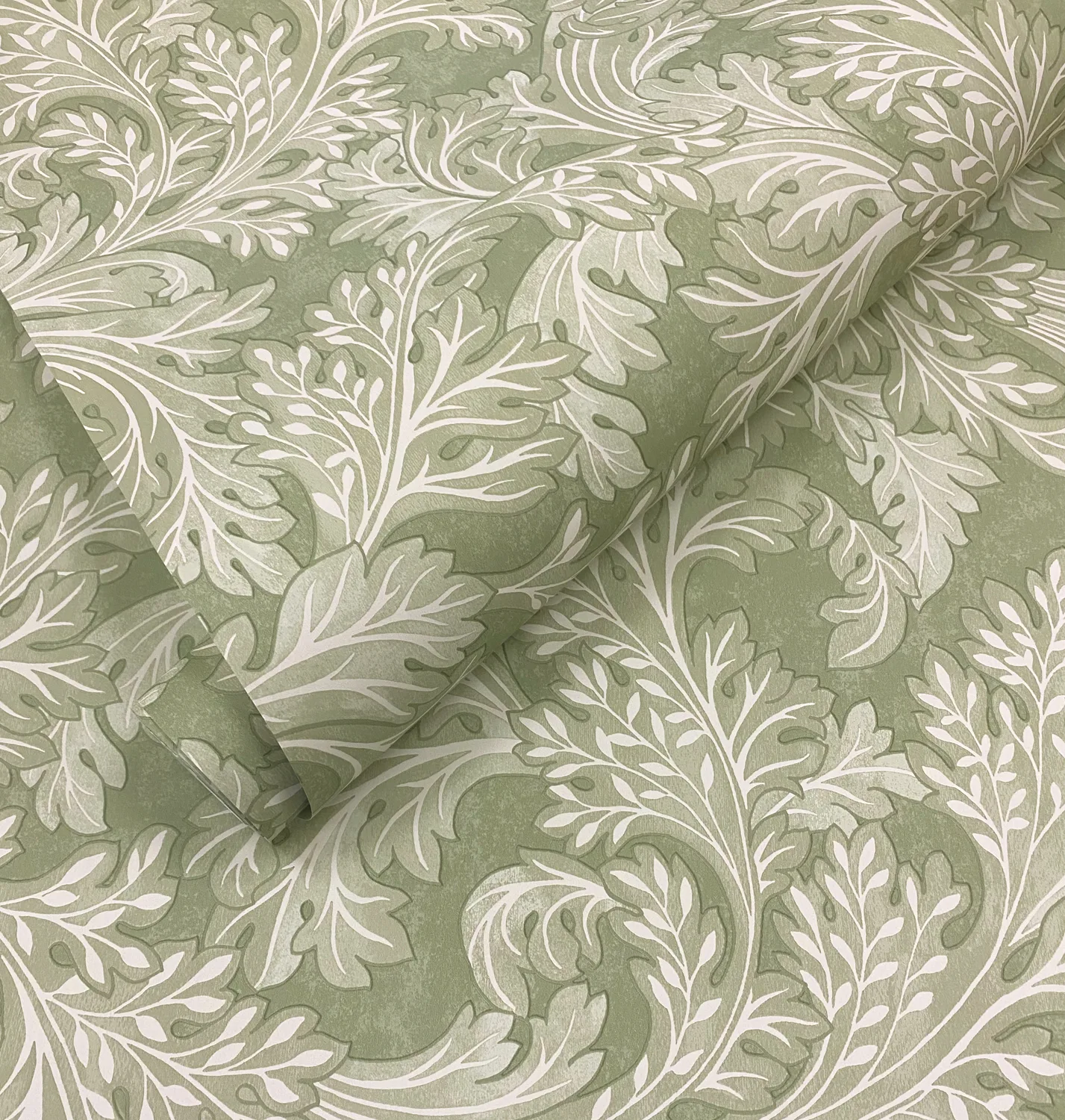 Dutch First Class Arboretum Forenza Sage 91783 - Afbeelding 3