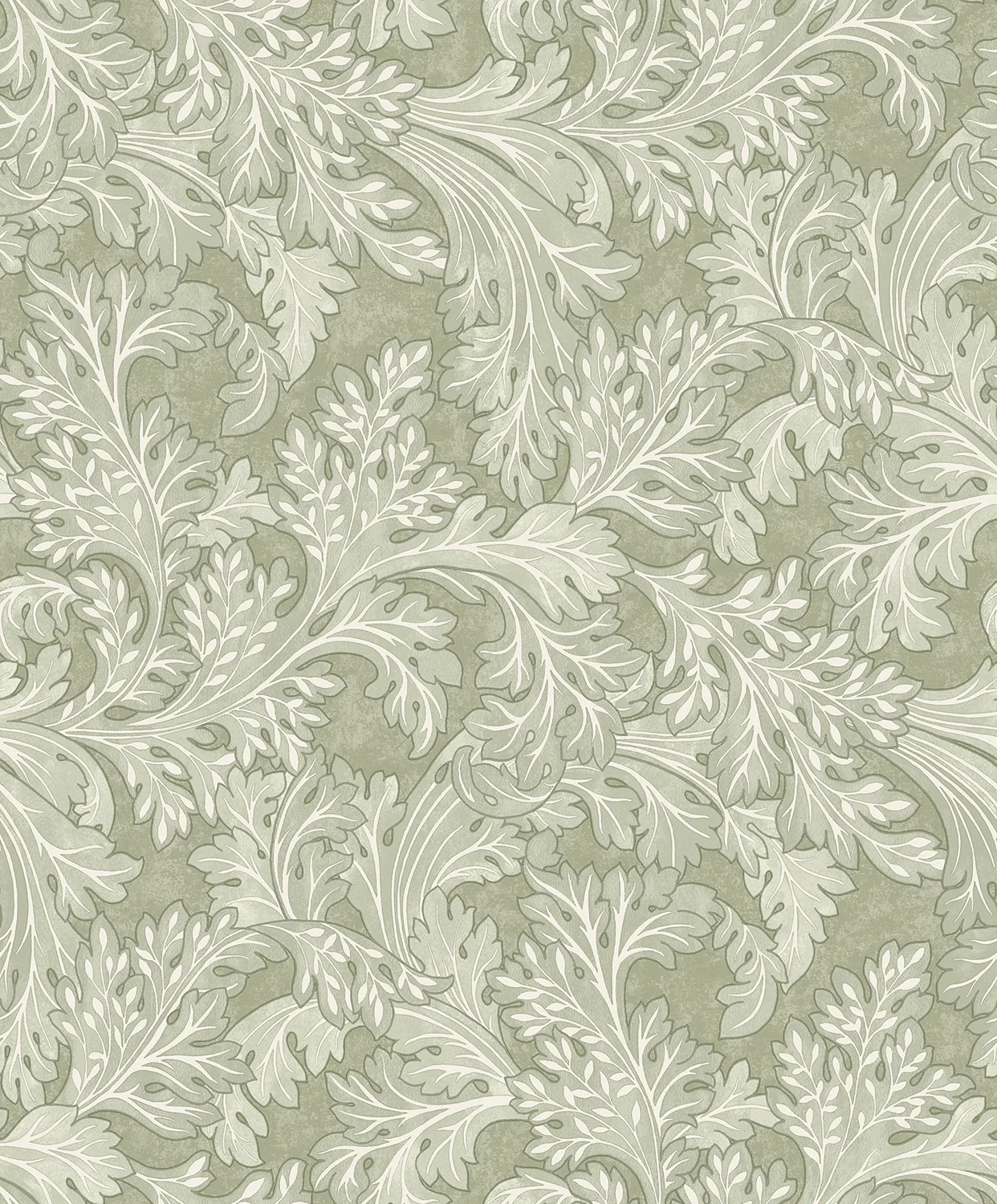 Dutch First Class Arboretum Forenza Sage