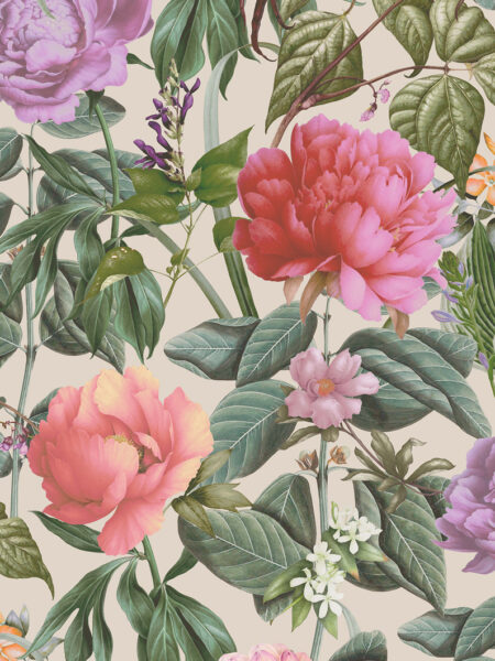 Dutch First Class Arboretum Botanicus Cream
