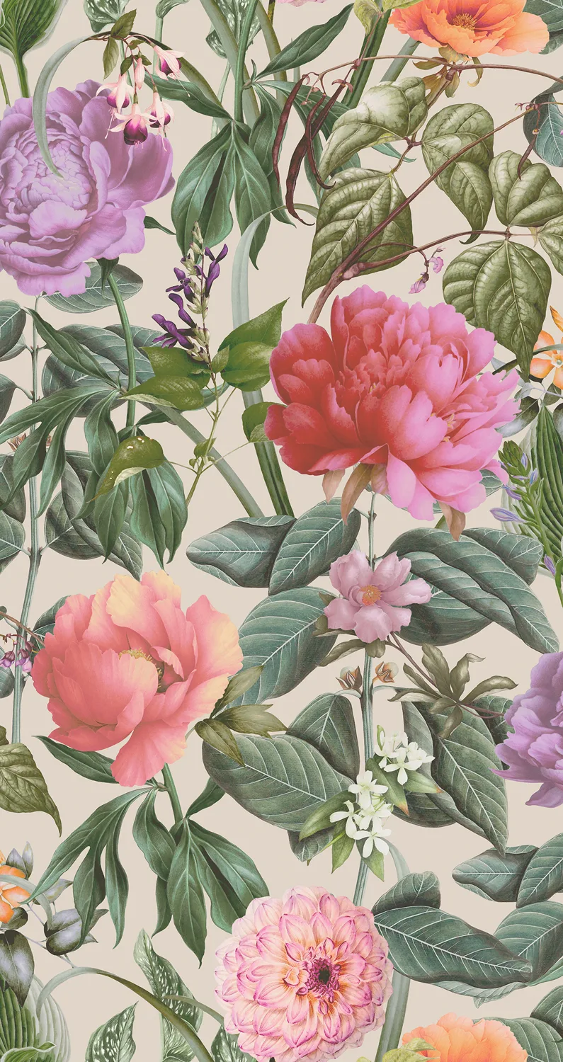 Dutch First Class Arboretum Botanicus Cream