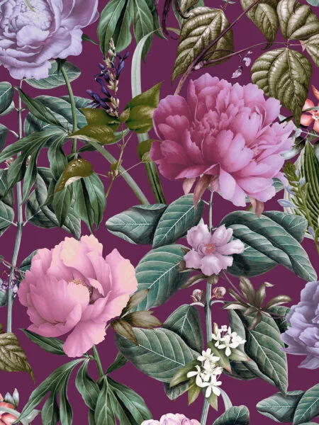 Dutch First Class Arboretum Botanicus Berry