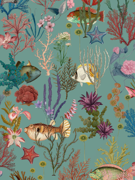 Dutch First Class Arboretum Cora Aqua