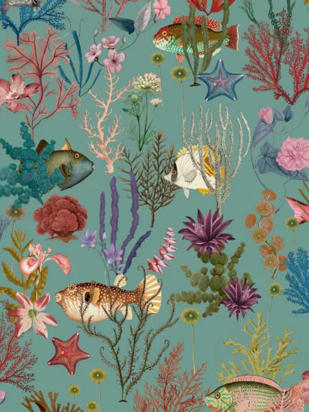 Dutch First Class Arboretum Cora Aqua