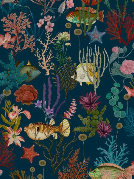 Dutch First Class Arboretum Cora Navy