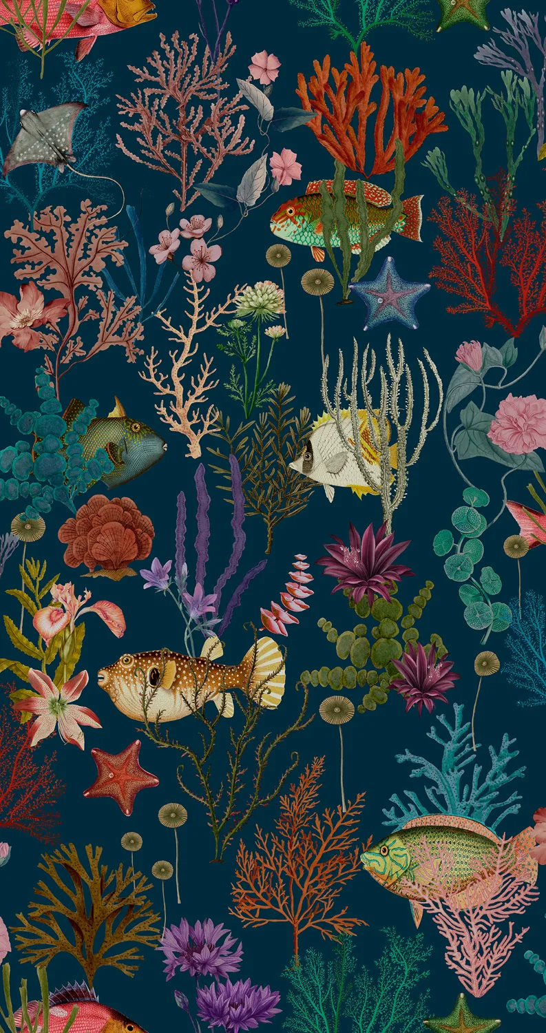 Dutch First Class Arboretum Cora Navy