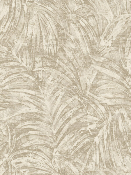 Dutch First Class Sahara Pindo Palm Ivory
