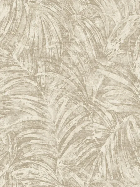 Dutch First Class Sahara Pindo Palm Ivory