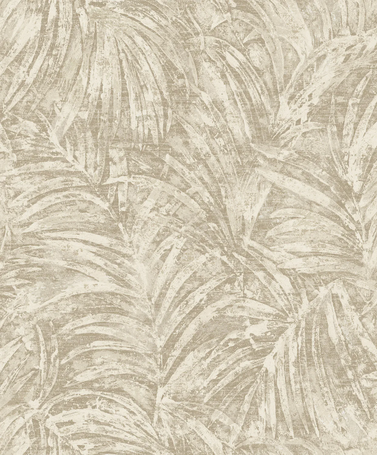 Dutch First Class Sahara Pindo Palm Ivory