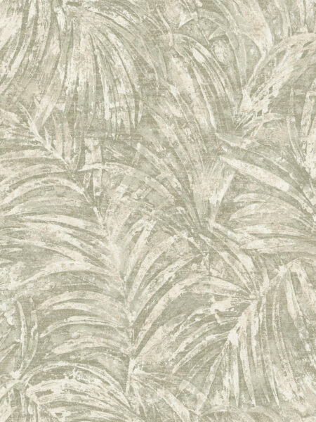Dutch First Class Sahara Pindo Palm Sage