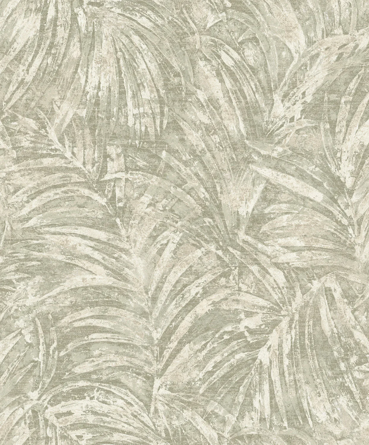 Dutch First Class Sahara Pindo Palm Sage