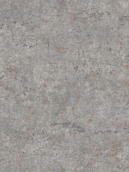 Dutch First Class Arber- Colt Grey