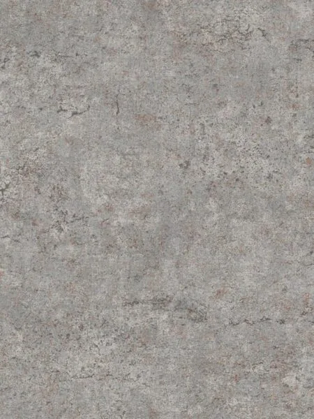 Dutch First Class Arber- Colt Grey