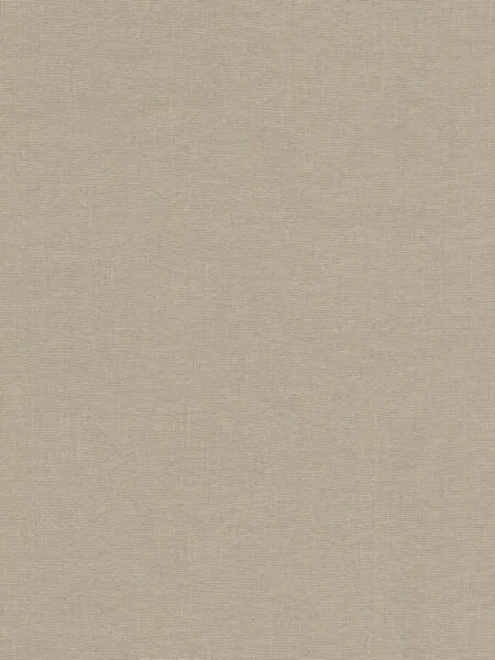 FC Voyage uni beige 73762