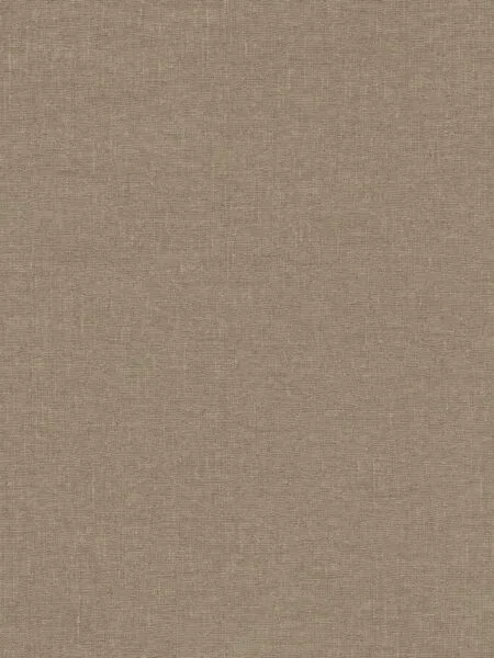 FC Voyage bruin glans 73763