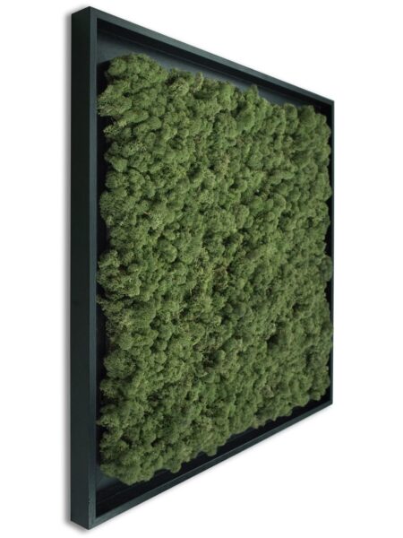 Mosschilderij Tortvak green zwart