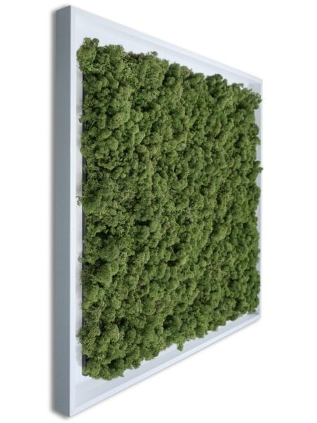 Mosschilderij Tortvak green wit
