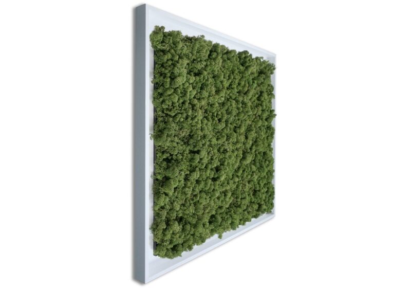 Mosschilderij Tortvak green wit